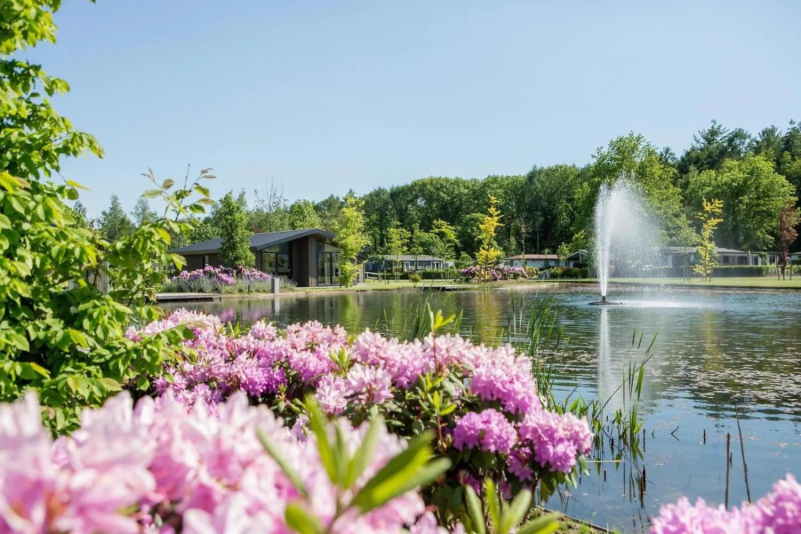 Vakantiepark Molenvelden Veldhoven 0*,